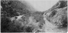 Alicedale, 1895. Road and river running through poort. (EH Short)