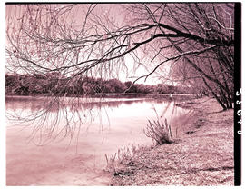 "Kimberley district, 1948. Vaal River at Riverton."