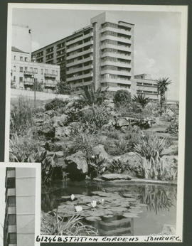 Johannesburg, 1953. Station garden.
