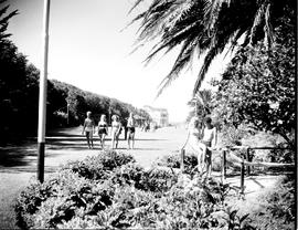 Port Elizabeth, 1946. Happy Valley.