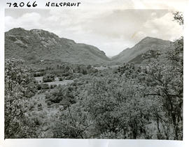 "Nelspruit district, 1962. Fruit orchards."