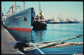 Durban, July 1969. 'Flying Cloud' berthed in Durban Harbour. [S Mathyssen / C Ward]