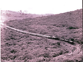 "Durban district, 1980. Centenary train between Durban and Pietermaritzburg."