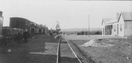 Bluecliff, 1895. Train in station. (EH Short)