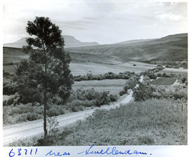 Swellendam district, 1955. Farm road.