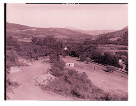 Wellington district, 1949.