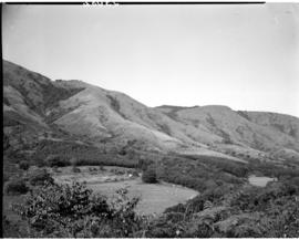 Tzaneen district, 1949. Magoebaskloof.