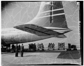 Johannesburg, June 1959. Jan Smuts Airport. SAA. Karakul pelts arriving from Windhoek by Skymaste...