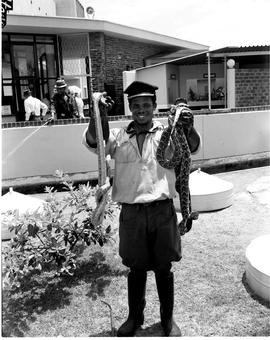 Port Elizabeth, 1966. Snake park.