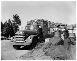 Louis Trichardt, 1953. SAR Diamond T truck.