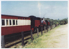 Port Shepstone district. SAR Class NGG16 on the Alfred County Railway.