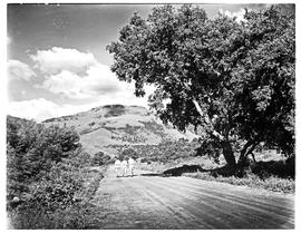 "Waterval-Onder, 1943. Valley road."