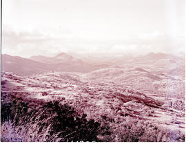"Nelspruit district, 1954. De Kaap valley."