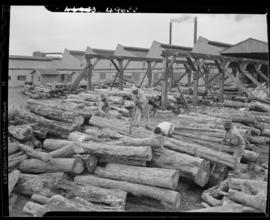 Knysna, 1945. Thesen's timber yards.