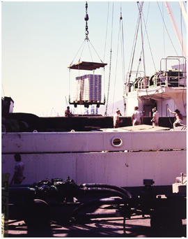 Cape Town, January 1976. Loading of fruit for export in Table Bay harbour. [EG Butcher]