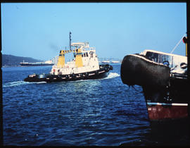 Durban, 1974. SAR tug 'Jan Haywood' in Durban Harbour. [S Mathyssen]