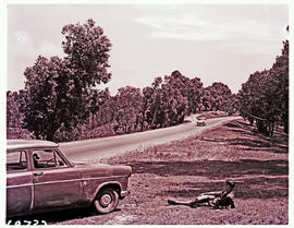 "Knysna district, 1961. Main road"