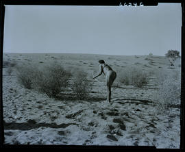 Kalahari, 1957. Bushmen hunter.