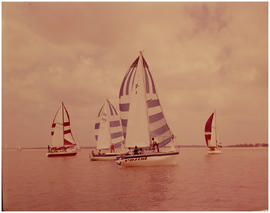 Deneysville, October 1976. The annual Minister's Cup yacht race held on Vaal Dam every year. This...