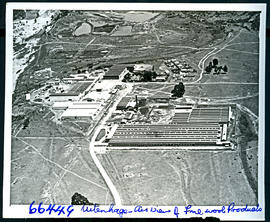 "Uitenhage, 1957. Aerial view Finewool products."