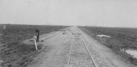 Baartman, 1895. Railway lines. (EH Short)