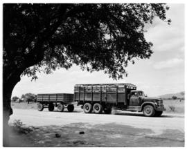 Louis Trichardt district, 1953. SAR Diamond T truck and trailer.
