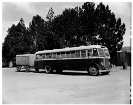 Louis Trichardt, 1953. SAR Albion bus No MT7116.