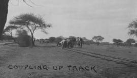Naboomspruit - Singlewood railway line, circa 1924. Tracklaying gang coupling up track sections.