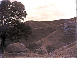 Vryheid district, 1947. Kraal near Babanango.