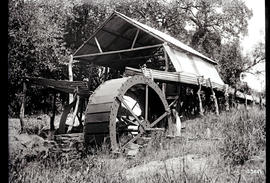 Wilgeboom Spruit. Old water wheel and mill.