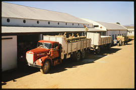 SAR truck with fruit crates at depot.