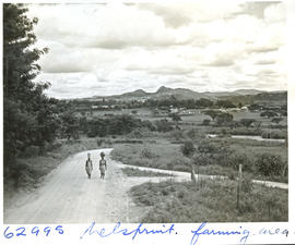 "Nelspruit district, 1954. Countryside."