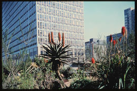 Johannesburg, May 1968. Paul Kruger building.