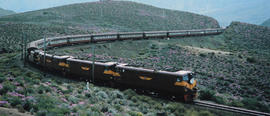 Touwsrivier district. Three SAR Class 5E Srs2's on 203down on 'Trans-Karoo' on long railway curve...