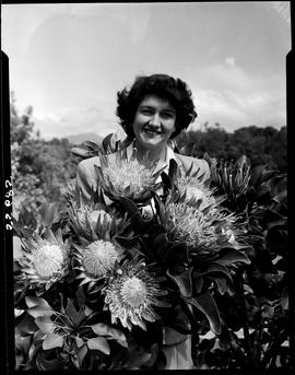 George, 1949. Woman at king protea plant.