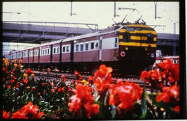 Johannesburg, March 1985. SAR type 5M2A suburban train No 0093 at Braamfontein. [CF Gunter]
