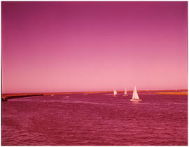 Port Elizabeth, 1965. Yachting on the Swartkops River.