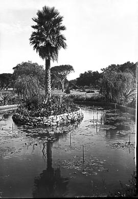 Port Elizabeth, 1934. St George's Park.
