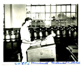 Harrismith, 1957. Condensed milk Factory.