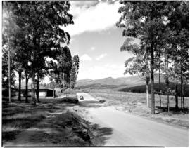Tzaneen district, 1951. Duiwelskloof. Store next to road.
