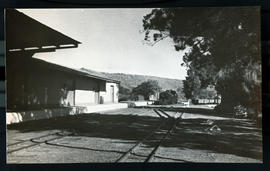 Natal. Narrow gauge lines at railway station.