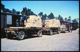 
SAR truck with two flat bed trailers.
