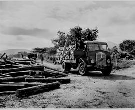 Barberton district, 1954. Loading timber at railway station onto ERF truck.
