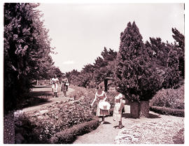 Springs, 1954. Olympia Park.