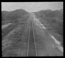 Naboomspruit, 1925. View down 2 ft gauge track to Singlewood.