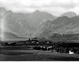 De Doorns, 1970. Farmhouses and vineyards in the Hex River valley.