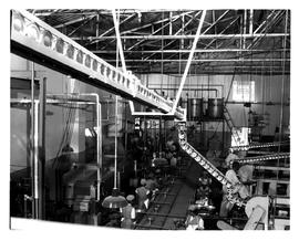 Montagu, 1960. Canning factory.