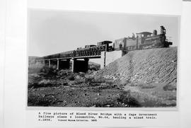 Blood River, 1896. CGR 4th Class No 64 hauling mixed train over Blood River bridge.