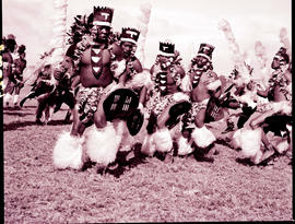 "Durban, 1976.  Zulu tribal dancing ."