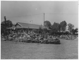 Estcourt, 17 March 1947. Estcourt station with rockery in foreground.